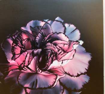 CD The Slow Show: Still Life