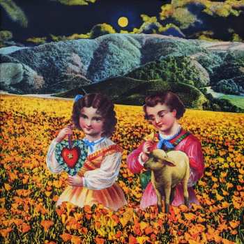 4LP/Zestaw pudełkowy The Smashing Pumpkins: Mellon Collie And The Infinite Sadness LTD