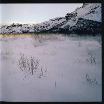 CD The Streets: Everything Is Borrowed