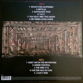 LP The Strokes: Room On Fire