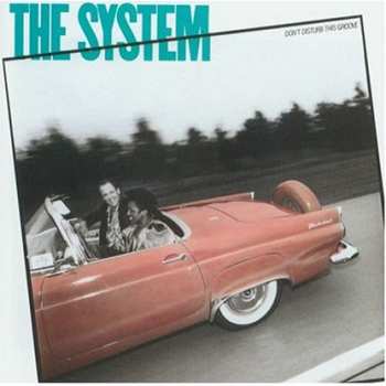 CD The System: Don't Disturb This Groove