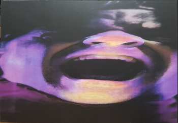 3LP/Zestaw pudełkowy/Blu-ray The Tragically Hip: Fully Completely DLX