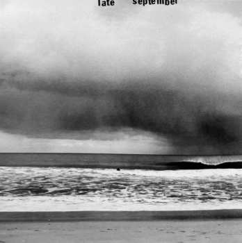 CD The Trans Megetti: Fading Left To Completely On