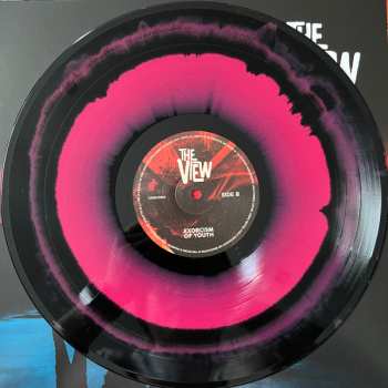 LP The View: Exorcism Of Youth LTD | NUM | CLR