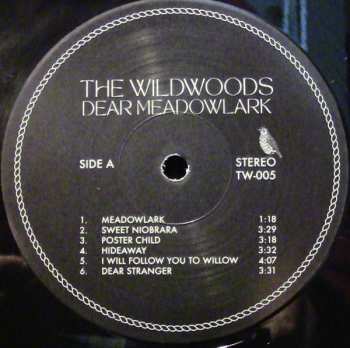 LP The Wildwoods: Dear Meadowlark
