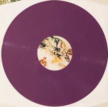 LP The Wonder Years: Burst & Decay (An Acoustic EP) LTD | CLR