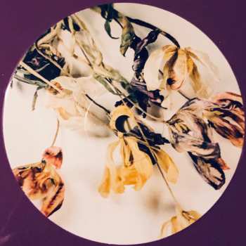 LP The Wonder Years: Burst & Decay (An Acoustic EP) LTD | CLR