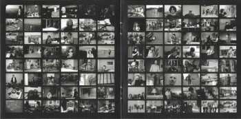 CD The Zutons: You Can Do Anything