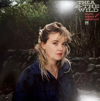 Truck Sized Asteroid