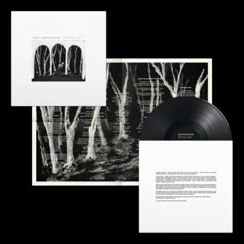 Album These New Puritans: Crooked Wing