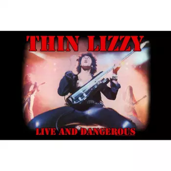 Plakat tekstylny Live And Dangerous