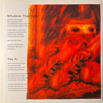 LP Tiamat: Wildhoney