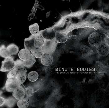 LP/DVD Tindersticks: Minute Bodies - The Intimate World Of F. Percy Smith LTD