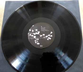 LP/DVD Tindersticks: Minute Bodies - The Intimate World Of F. Percy Smith LTD