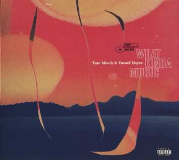CD Tom Misch: What Kinda Music