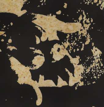 CD Tracy Chapman: New Beginning