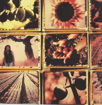 CD Tracy Chapman: New Beginning