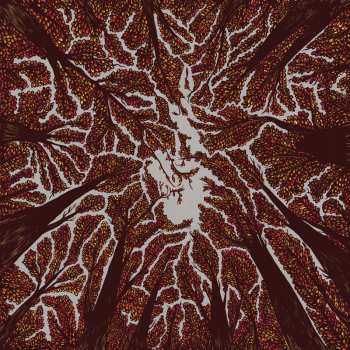 LP Trash Boat: Crown Shyness CLR