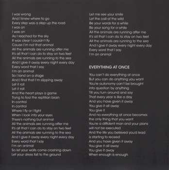 CD/DVD Travis: Everything At Once