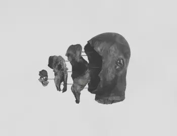 The Sense Of Dust And Sheer