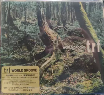 World Groove