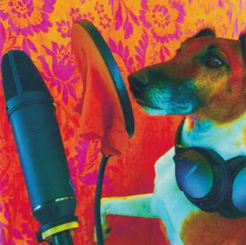 CD Tropical Fuck Storm: A Laughing Death In Meatspace