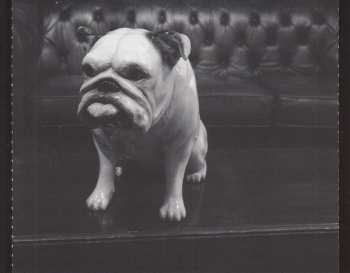 3CD Mariya Takeuchi: Turntable = ターンテーブル DLX | LTD