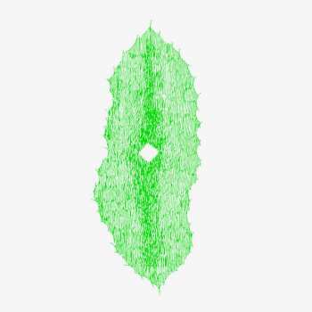 LP TV Dust: Transition LTD