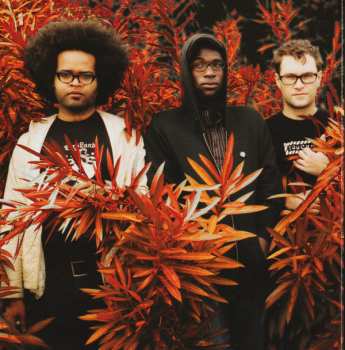 CD TV On The Radio: Desperate Youth, Blood Thirsty Babes