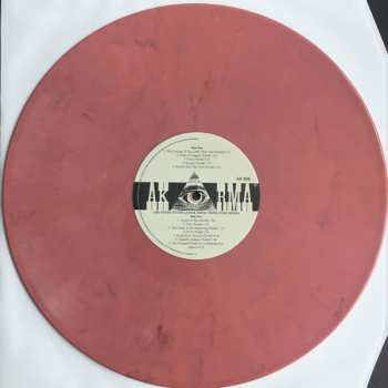 LP Twink: The Never Never Land & Think Pink Demos