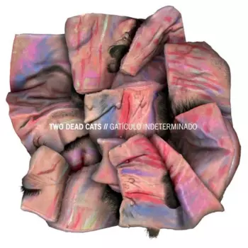 Gaticulo Indeterminado