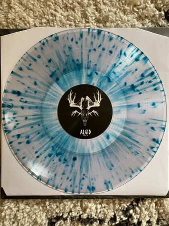 LP Uncommon Evolution: Algid CLR | LTD