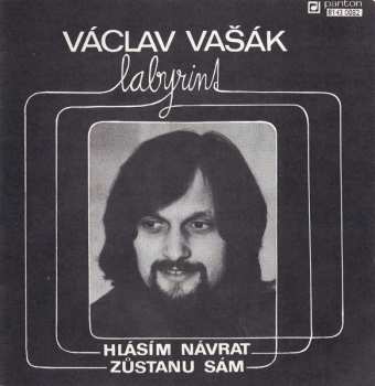 SP Labyrint: Zůstanu Sám / Hlásím Návrat