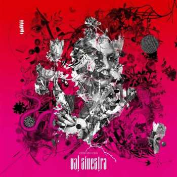 LP Val Sinestra: Zerlegung
