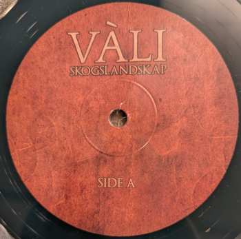 LP Vàli: Skogslandskap CLR | LTD