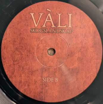 LP Vàli: Skogslandskap CLR | LTD