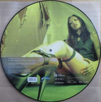 5LP/Zestaw pudełkowy Various: 12" Collector's Picture Vinyl Box House LTD | NUM | PIC