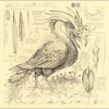 CD Various: Accidental Ornithology