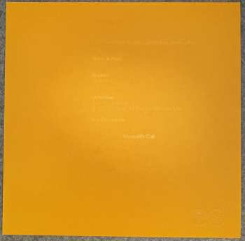 10LP/Zestaw pudełkowy Various: Anjuna25 Anniversary Box Set LTD