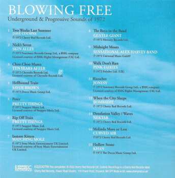 4CD/Zestaw pudełkowy Various: Blowing Free: Underground & Progressive Sounds Of 1972