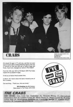 LP Various: Bored Teenagers Vol.9: 18 Great British Punk Originals '77-'82