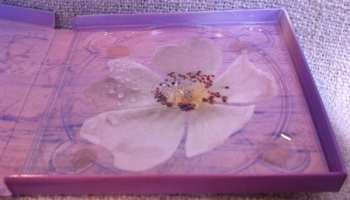 CD Various: Buddhattitude - Inuk (Buddha-Bar Collection)