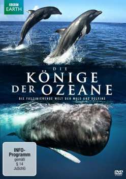 DVD Various: Die Könige Der Ozeane