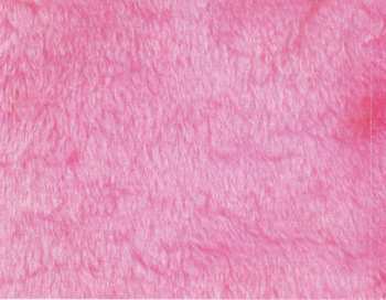 CD Various: Legally Blonde 2 - Soundtrack