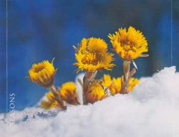 CD Various: The Magic Of Spring