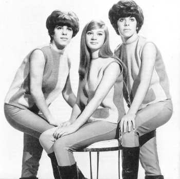 CD Various: The Spirit Of The 60s (1965 The Hits Don't Stop)