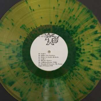 LP Various: Tigersushi Demos 2000 - 2020 CLR