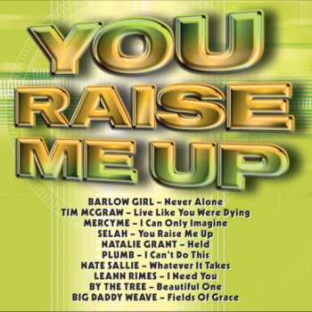 CD Various: YOU RAISE ME UP
