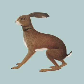 2CD Vashti Bunyan: Lookaftering ( Expanded )