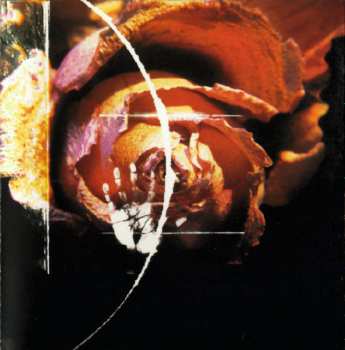 CD VAST: Visual Audio Sensory Theater